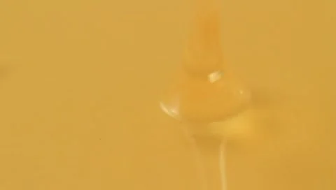 Honey Stock Footage 8908573