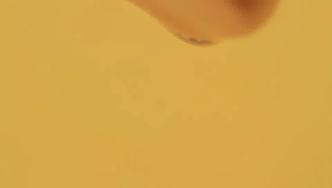 HONEY Stock Footage