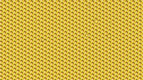 Honey Stock Footage 10848928