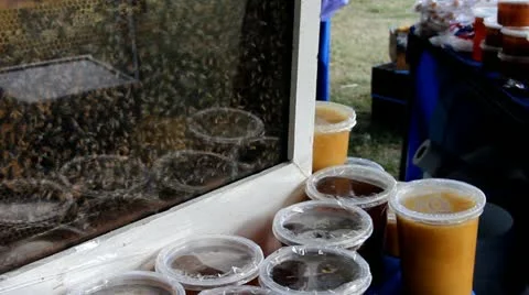 Honey Stock Footage 12255225