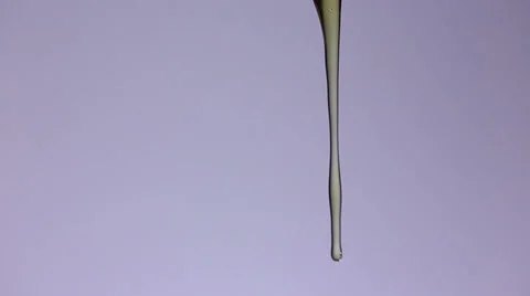 Honey Stock Footage 33602309