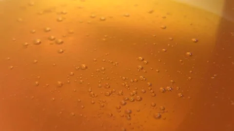 The Honey Stock Footage 50600230