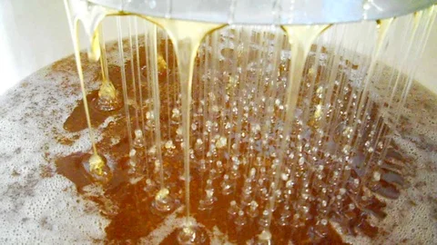The honey Stock Footage 79565697