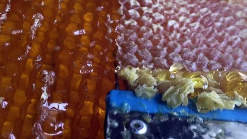 Honey. Stock Footage 79856181