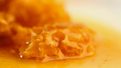 Honey Stock Footage 88997195