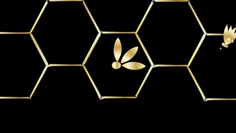 Honey Stock Footage 259839360