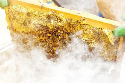 Honey in frame. texture design. Stock Photos