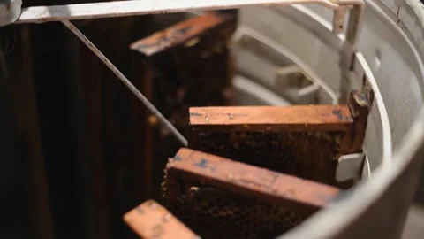 Honey frames spinning in extractor machine 스톡 동영상 345944795
