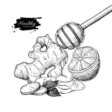 Honey, ginger and lemon vector drawing. Wooden spoon, honey drop Stock Illustration