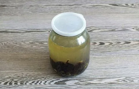 Honey Grog6 Stock Photos