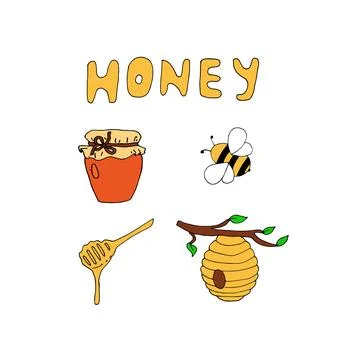 Honey hand- drawn vector illustration. Healthy food illustration. Hand drawn ske Stock Illustration