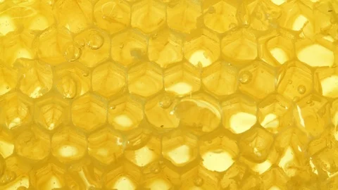 Honey in honeycomb close-up background Video stock 104110839