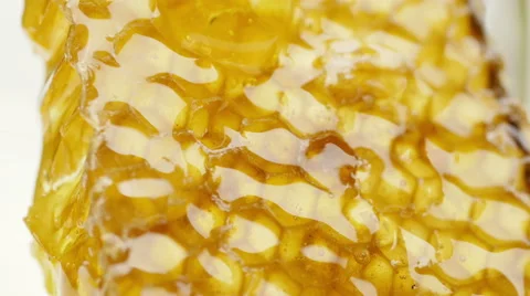 Honey on honeycomb. Close-up. Stock Footage