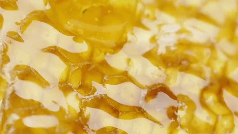 Honey on honeycomb. Close-up. Stock Footage 69193396