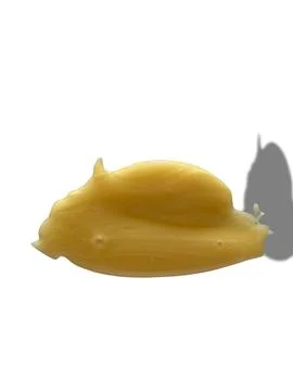 Honey on an isolated white background Stock Photos