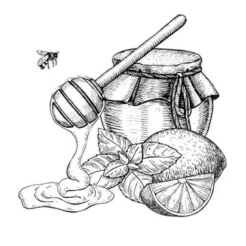 Honey with lemon and mint vector drawing. Jar, wooden spoon, hon Stock Illustration