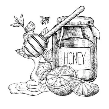 Honey with lemon and mint vector drawing. Jar, wooden spoon, hon Stock Illustration