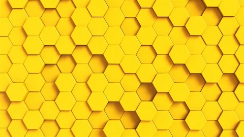 Honey loop composition Stock Footage 99179756