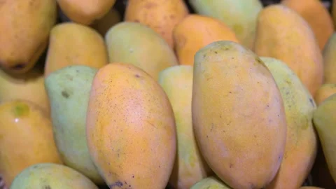 Honey mango Stock Footage 279492204