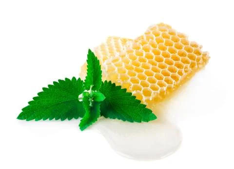 Honey with mint on a white background. Stock Photos