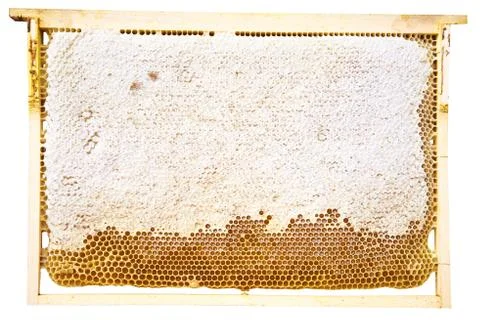 Honey Stock Photos