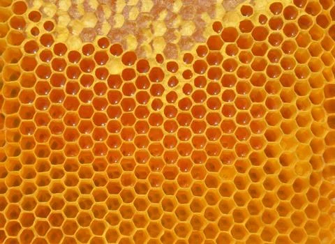 Honey Stock Photos