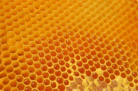 Honey Stock Photos
