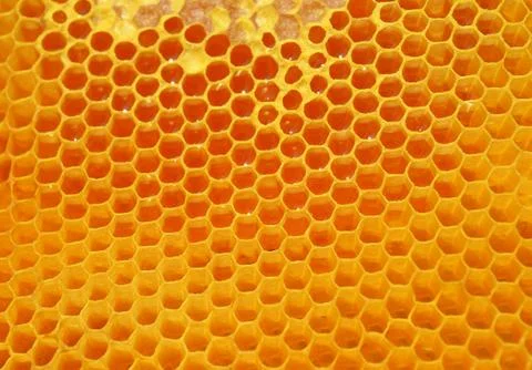 Honey Stock Photos
