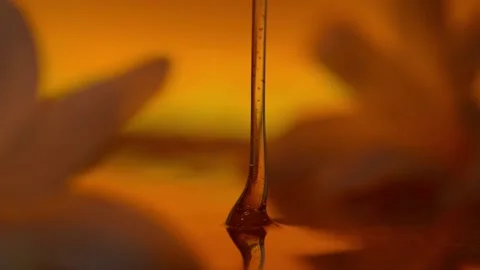 Honey Pour Video stock 154401309
