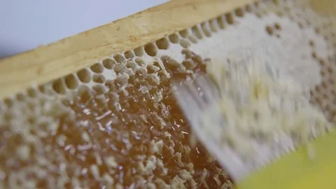 Honey Production 2 Stock Footage 84785790