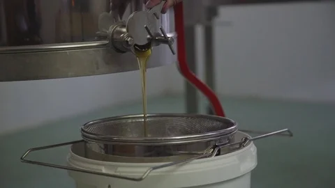 Honey Production 3 Vídeos de archivo 84785844