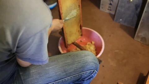 Honey production Stock Footage 97071440