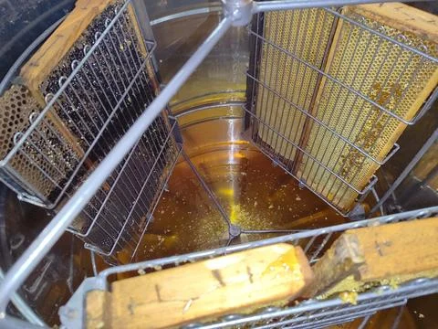 Honey production. The work of a beekeeper. Making honey in an apiary Stock Photos