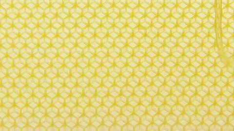 Honey running down honeycomb Stock Footage 8571306