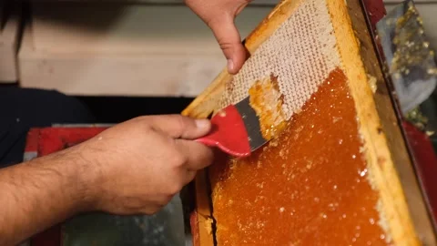 Honey is separated from the honeycomb frame 3 Stock Footage 294034981