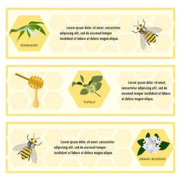 Honey set for banner Stock Illustration