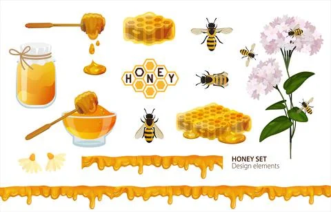 Honey set. Design elements with honey images isolated on white Stock Illustration