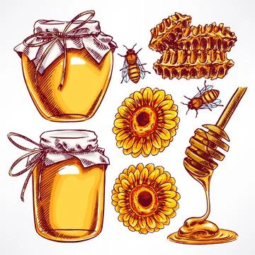Honey set Stock Illustration