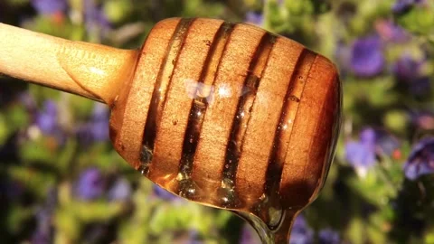 Honey spoon close-up on a background of flowers. jet of honey macro. asmr Stock Footage 246769204