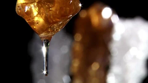 Honey, three in back 動画素材 8869440