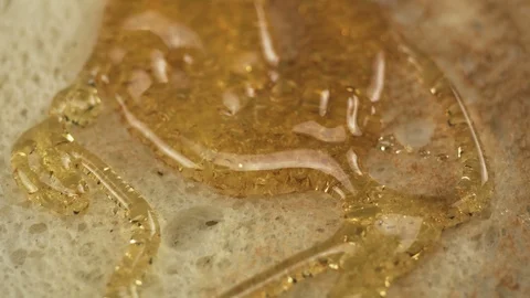Honey on toast Stock Footage 99702791