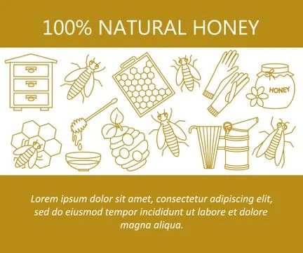 Honey vector card with thin line icons Stock Illustration