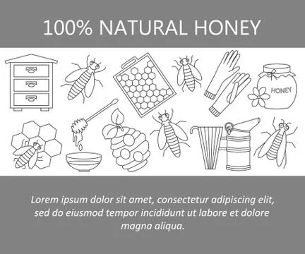 Honey vector card with thin line icons Stock Illustration