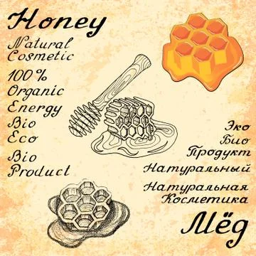 Honey. Vector set of 3 drawing and hand-lettering. In English and Russian tex Illustrazione stock