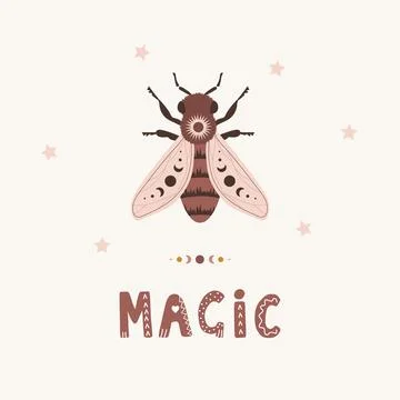 Honeybee boho poster. Insect with celestial elements. Scandinavian design for Illustrazione stock