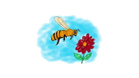 Honeybee Hovering Flower Drawing 2d