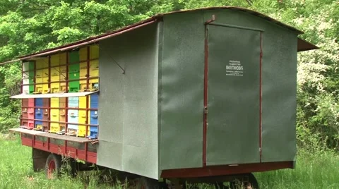 A honeybee trailer Stock-Footage 50578501