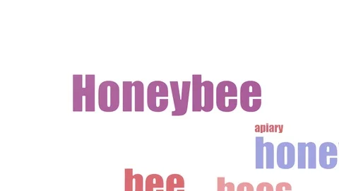 Honeybee Word Cloud Animated On White Background Video stock 103559547