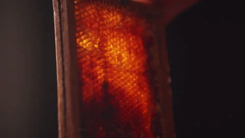 Honeycomb back-lit Stock-Footage 287893696