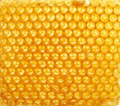 Honeycomb background Stock Photos